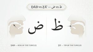 Dhad (ض) vs Zha (ظ) pronunciation difference
