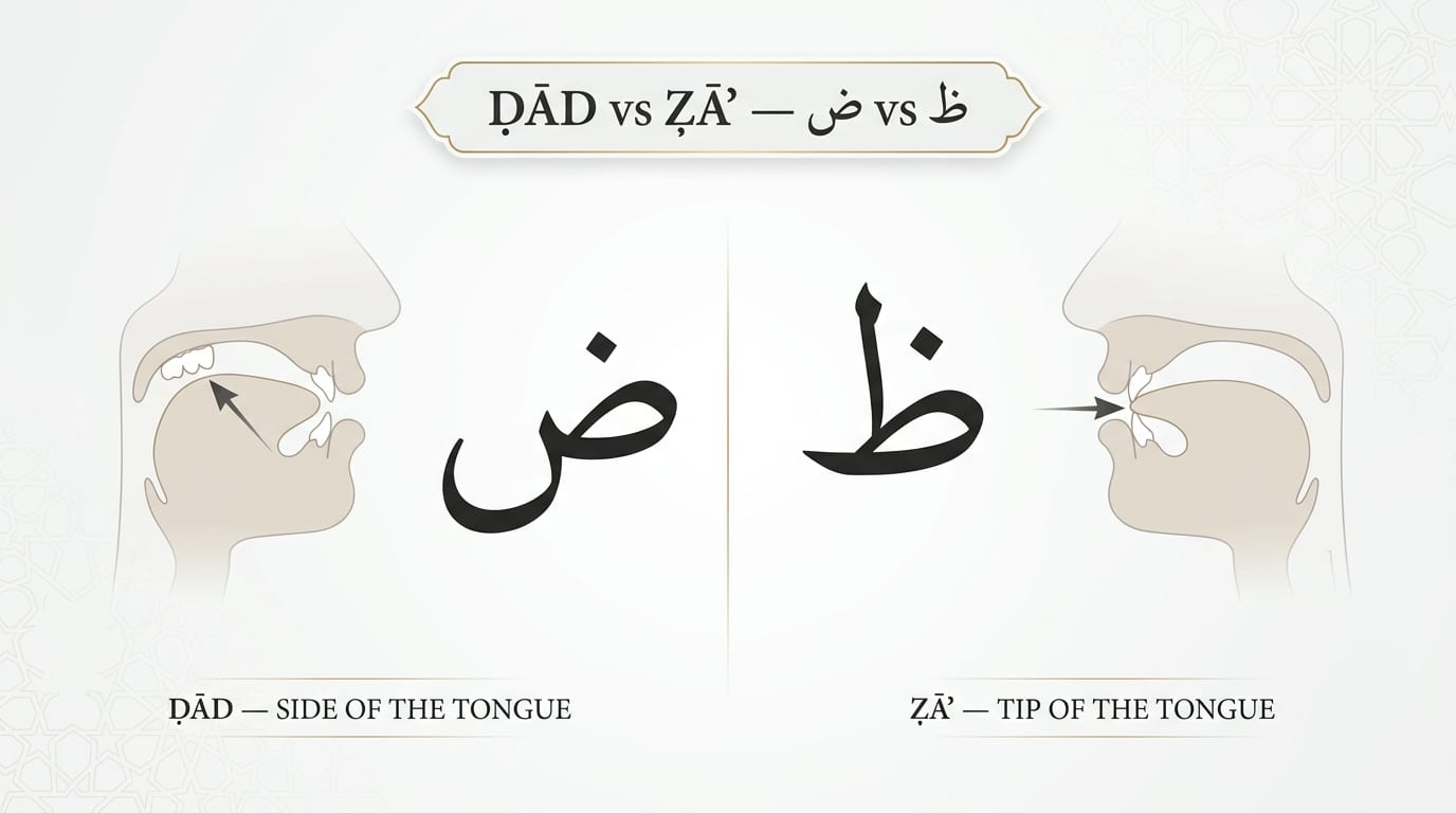Dhad (ض) vs Zha (ظ) pronunciation difference